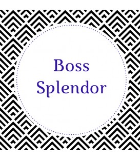 Boss Splendor
